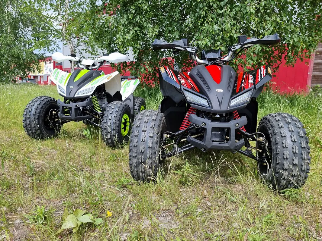 PROMAX SPORT - PRO 180 (2025)
